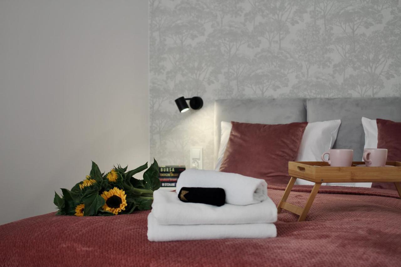 Luna Apartments Jelenia Góra Kültér fotó